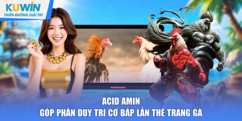 Acid amin góp phần duy trì cơ bắp lẫn thể trạng gà